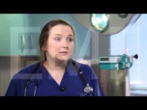 Чистка зубов животным. Ультразвуковая чистка зубов.