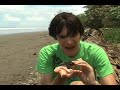 Herping With Dylan: Costa Rica! (Pt. 2 of 3) Herping With Dylan: Costa Rica! (Pt. 2 of 3)
