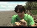Herping With Dylan: Costa Rica! (Pt. 2 of 3)