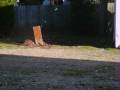 dm5.wmv