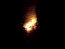 Wickerhorse firework