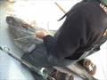Wildlife Matters - Episode 356 -- The Big Big Alaskan Halibut