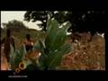 Ver Video