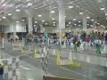 flyball - www.fortunatefido.com flyball - www.fortunatefido.com