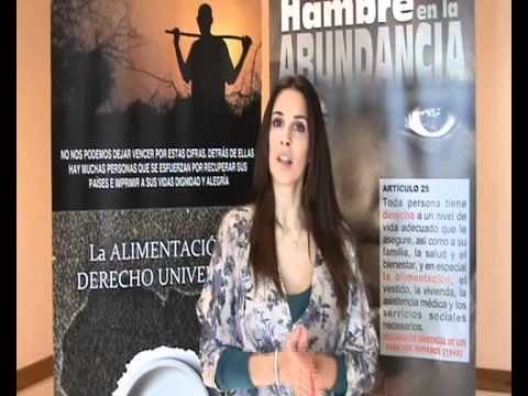 Ver el vídeo