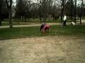 SPIDER-OTER-SE-PREPA