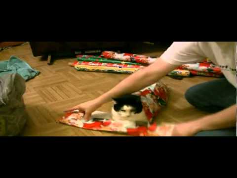 Hogyan csomagoljunk macskát? :D