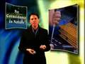 Creationism Top 25 Logical Fallacies 2of3