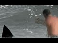 Shark Attacks Caught on Tape