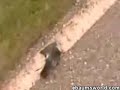 chick freaks out a little(maybe alot) chick freaks out a little(maybe alot)