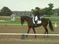 Liz Lund & Lady Hannah B Midsouth CCI* 2006