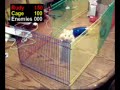 Rudy 5: The Great Escape Rudy 5: The Great Escape