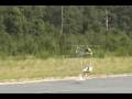 Baldwin Mono Tiltrotor RC model tests