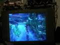 Wii Codes Enabled!- Zelda TP
