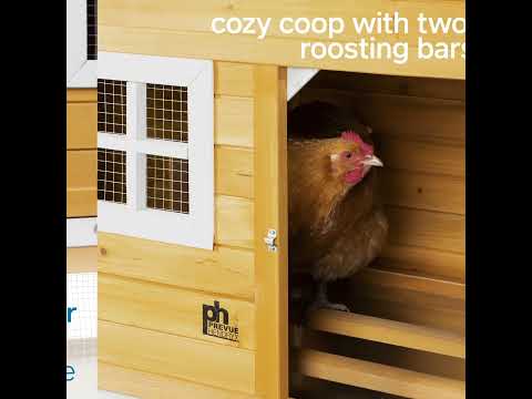 #4700 Chicken Coop with Nest Box