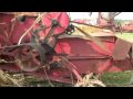 Antique Machinery Show - Shredding Corn