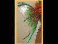 videos de Shaylee.wmv