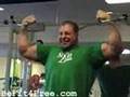 Biceps-Training-Body