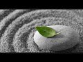 The Science of Spirituality, Part 25.