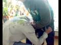 videos de brazas sucks