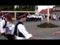 Přísnotice - Václavské hody 2009 - Tanec pod májou