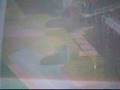 videos de 