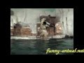 Polar bear throws pipe