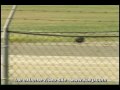 See video See video