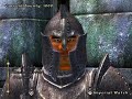 Karabiner 98k rifle in Oblivion