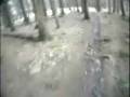 videos de tolly 4th dec 08.wmv