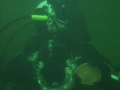 Diving