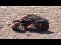 Stop Climate Injustice - climate change in Kenya