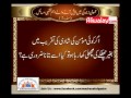Rules of Eating Fish - Dr Abid Hussain Zaidi - Urdu