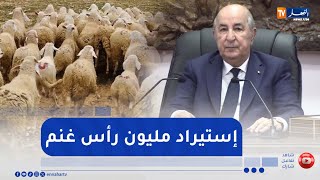بأمر رئاسي لتموين السوق.. استيراد مليون رأس غنم تحسبا لعيد الأضحى