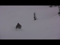Cruising Comet - Great Canadian Heli-Skiing