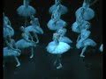 Swan Lake Polina Semionova
