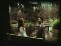 clip video The Divine Comedy Births, Deaths & Marriages