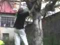 videos de JaCk parkour