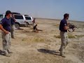 MOV02267.MPG