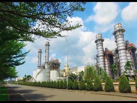 Thúc đẩy đổi mới sinh thái trong doanh nghiệp Việt Nam 