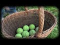 Tak było: Partnerskie spotkania dożynkowe - Kręcko 2010