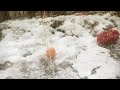 Lau Nau: Painovoimaa, valoa