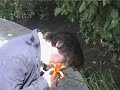 tribute-to-syd-barrett.html