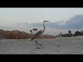 Captiva, Florida