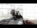 videos de CS:S | panda