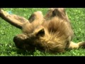 Ngorongoro Conservation Area (UNESCO/TBS ...