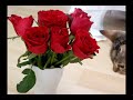 ADOPTED-Temperance