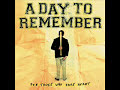 A Shot In The Dark - A Day To Remember
