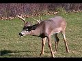 The Buck Stops Here
