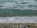 Greek sea the summertime